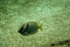 IMG_0156.jpg
