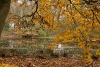 img_0366-custom.jpg